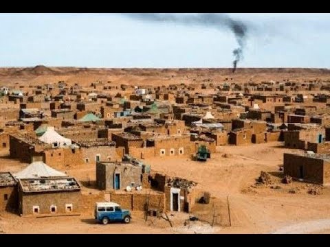 كاتب تركي ينتقد دعم بعض الدول ل”بوليساريو” رغم ارتباطها بمنظمات إرهابية