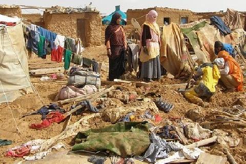صحيفة مكسيكية تفضح الانتهاكات الجسيمة لحقوق الإنسان في مخيمات تندوف