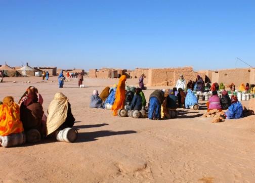 تقرير الأمم المتحدة يفضح البوليساريو