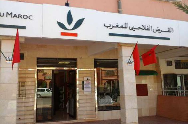 القرض الفلاحي.. تدابير للتخفيف من آثار شح التساقطات