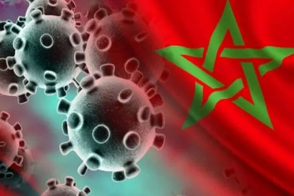 كورونا..تسجيل 221 حالة مؤكدة جديدة بالمغرب خلال 16 ساعة الأخيرة
