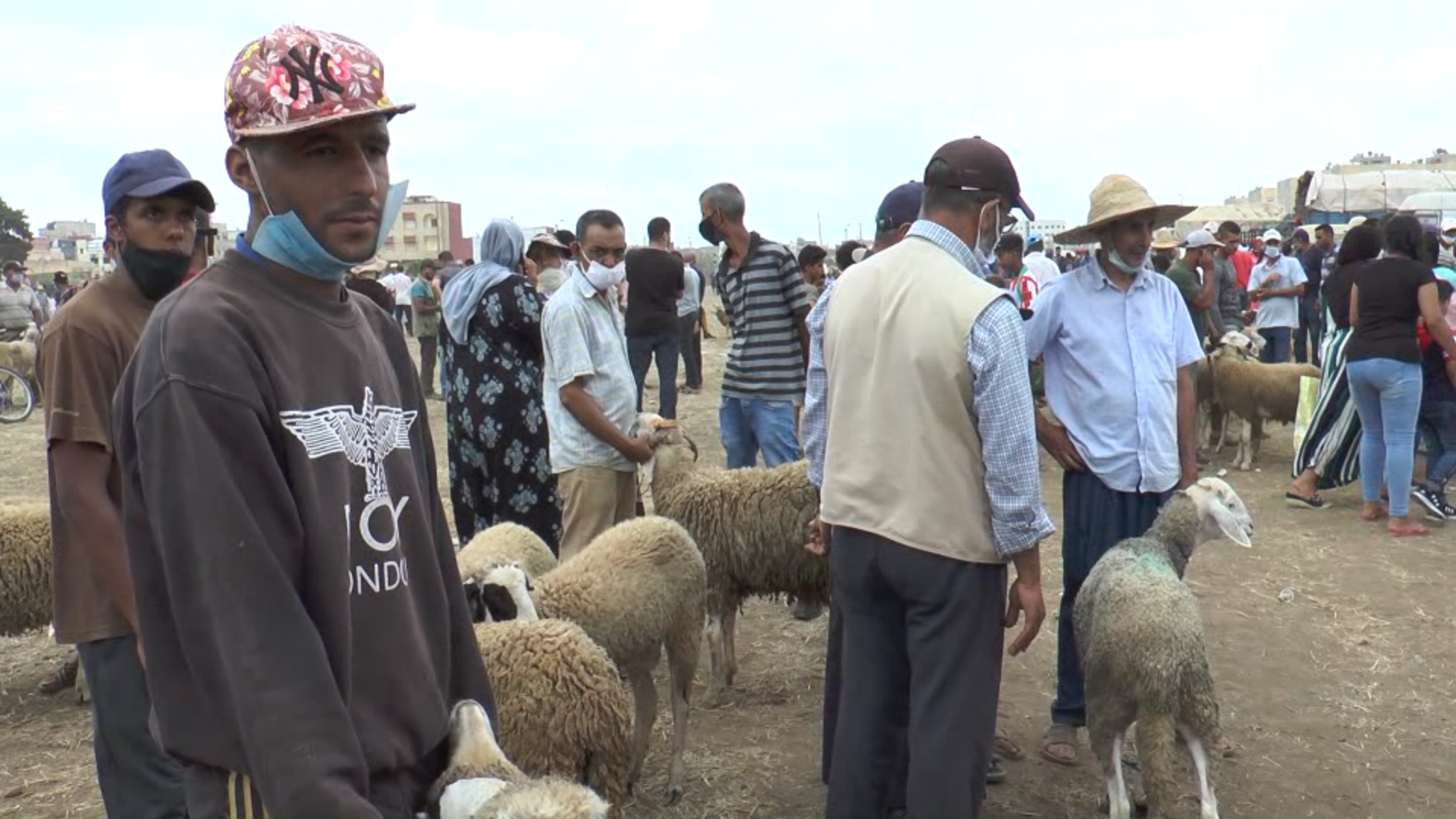 سوق الصخيرات..”الحولي موجود والثمن مناسب”/ فيديو