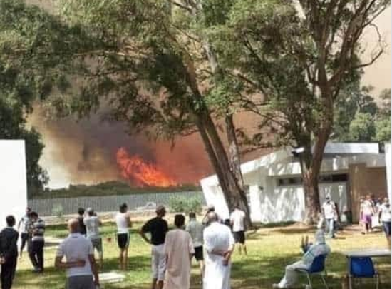 طنجة .. السيطرة على حريق أتى على 36 هكتارا من الغابة الدبلوماسية
