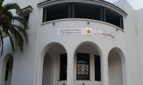 توقعات وزارة الفلاحة بخصوص الموسم الفلاحي 2020-2021 ..
