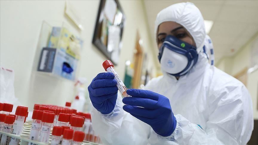 كورونا.. 3020 إصابة جديدة و2823 حالة شفاء خلال الـ24 ساعة الماضية
