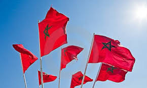 الدنمارك.. أمام عزيمة الوطنيين تتبدد الأباطيل