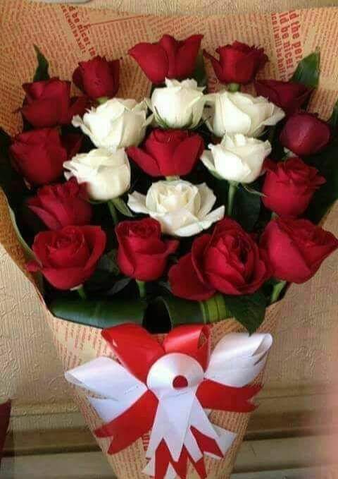 في يوم عيد المرأة