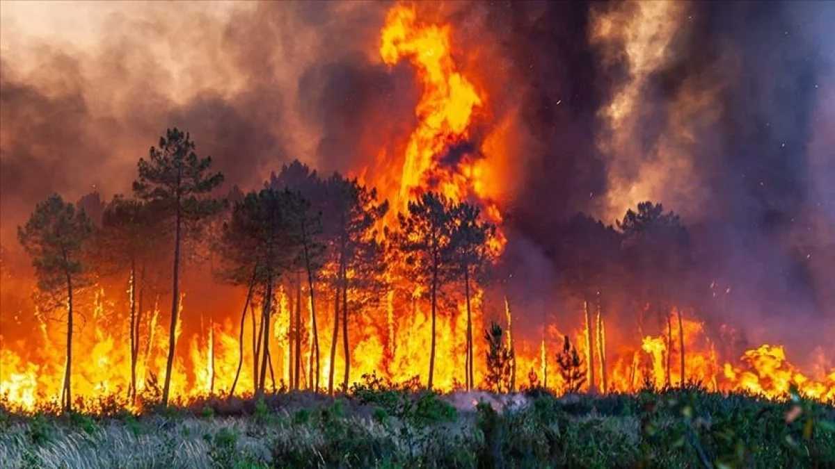 إقليم شفشاون يقود جهودا مكثفة لإخماد حرائق غابوية بين تطوان وشفشاون.